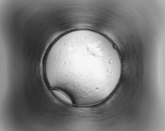 X0000096461082200802141527