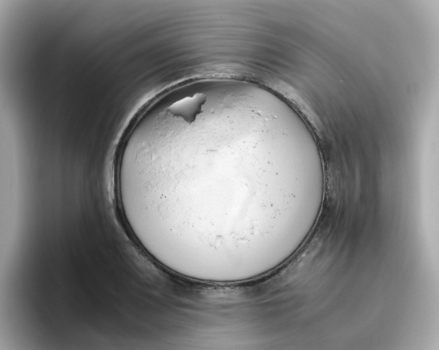 X0000096461083200802141527