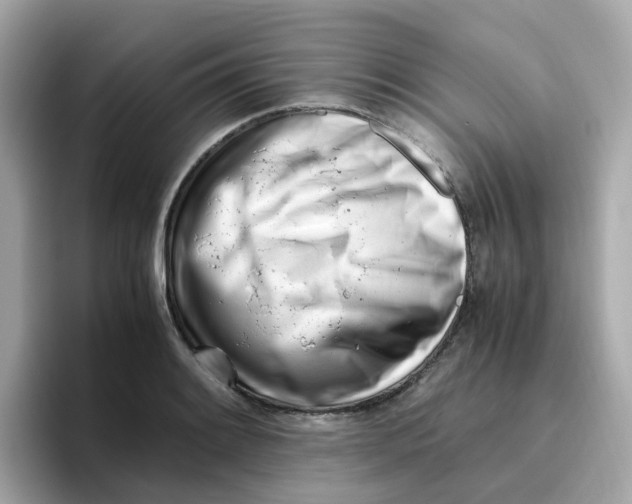 X0000096461084200802141527