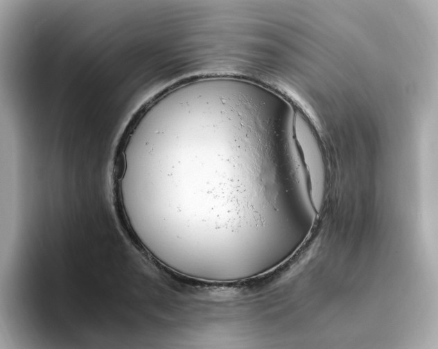 X0000096461085200802141527