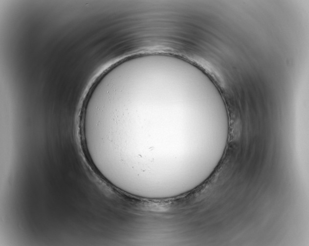 X0000096461086200802141527