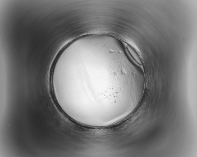 X0000096461087200802141527