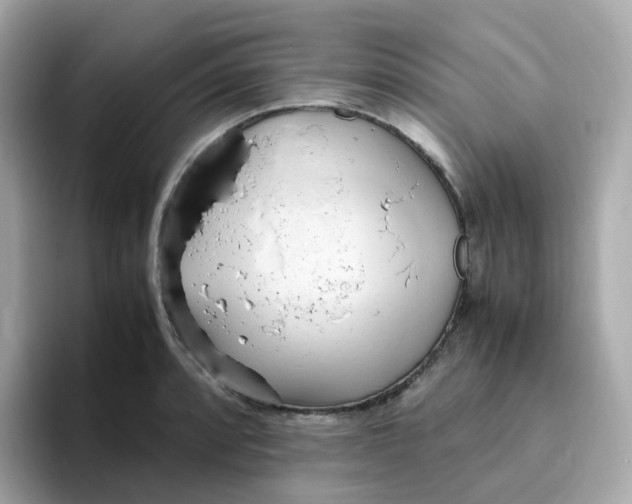 X0000096461088200802141527