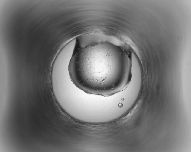 X0000096461089200802141527