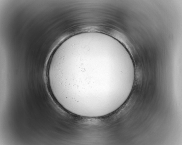 X0000096461090200802141527