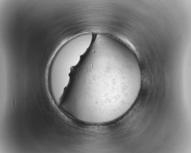 X0000096461091200802141527