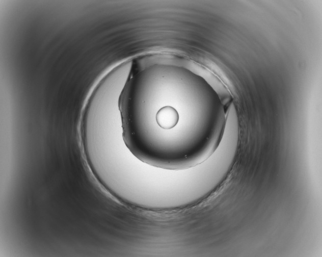 X0000096461092200802141527
