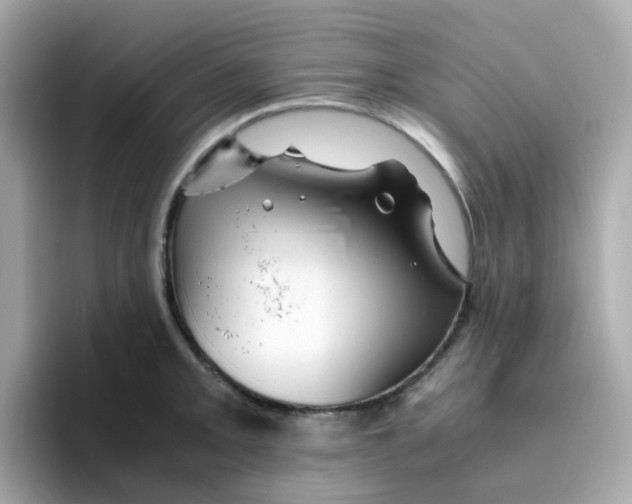 X0000096461093200802141527