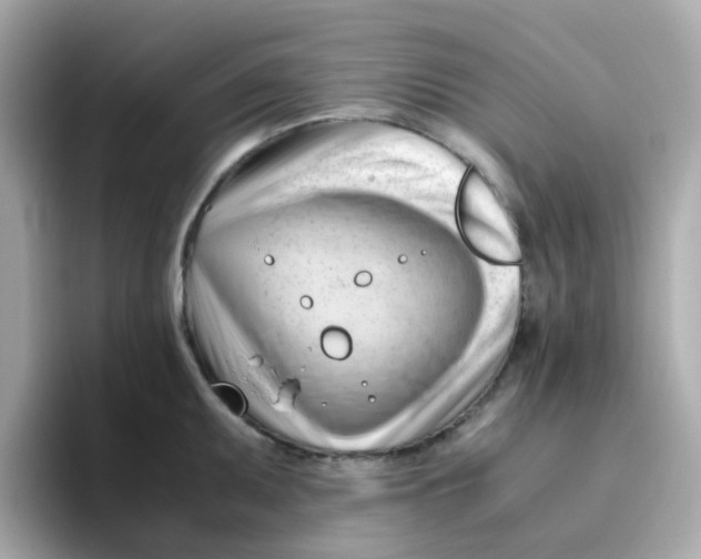 X0000096461095200802141527