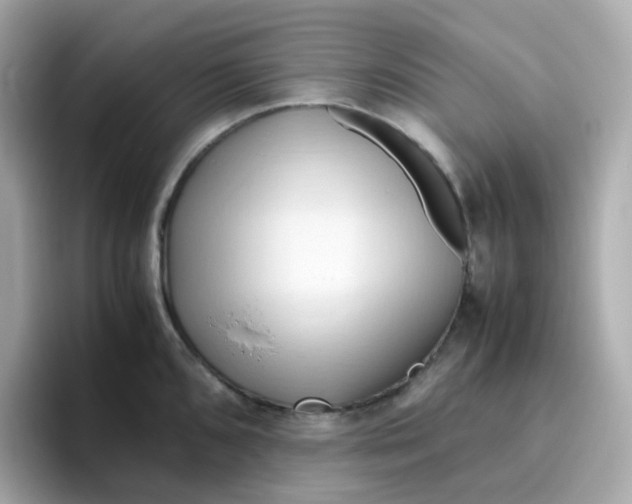 X0000096461096200802141527