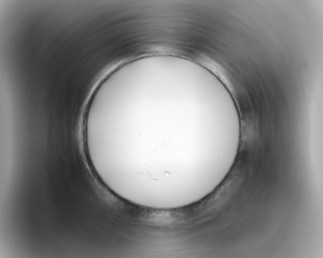 X0000096461098200802141527