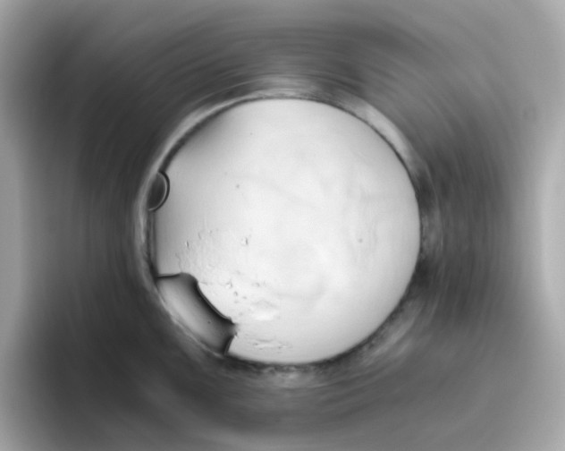 X0000096461099200802141527