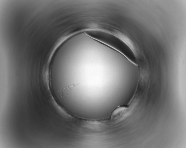 X0000096461100200802141527