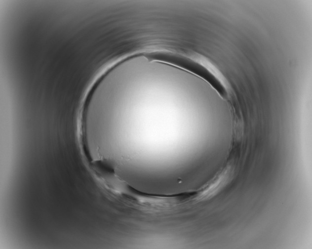 X0000096461101200802141527