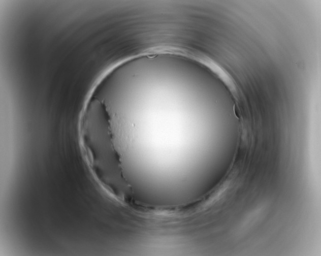 X0000096461102200802141527