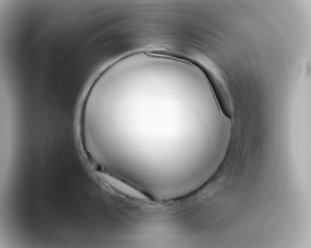 X0000096461104200802141527