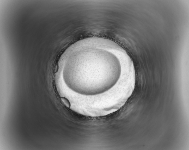 X0000096461105200802141526