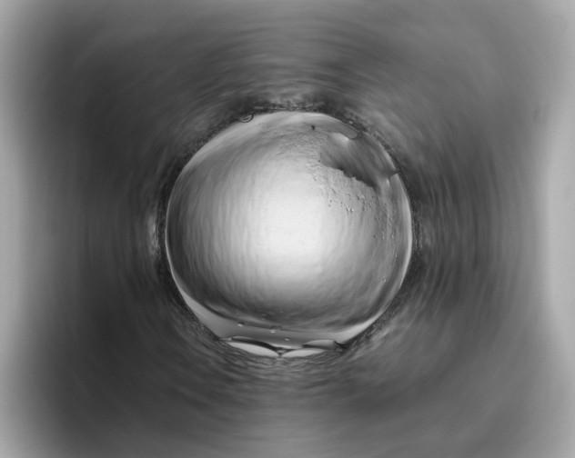 X0000096461106200802141526