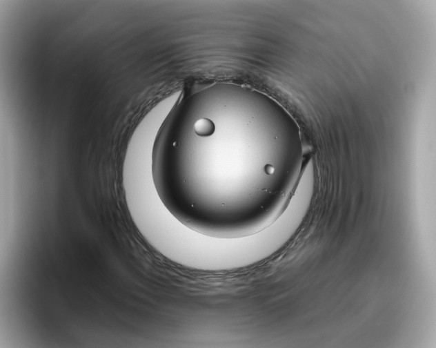 X0000096461108200802141526