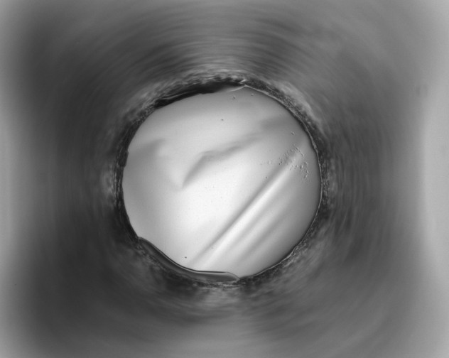 X0000096461110200802141526