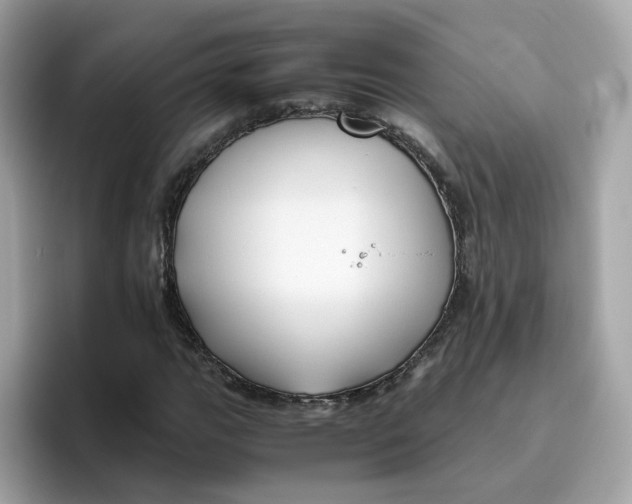 X0000096461111200802141526