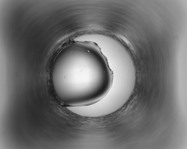 X0000096461112200802141526