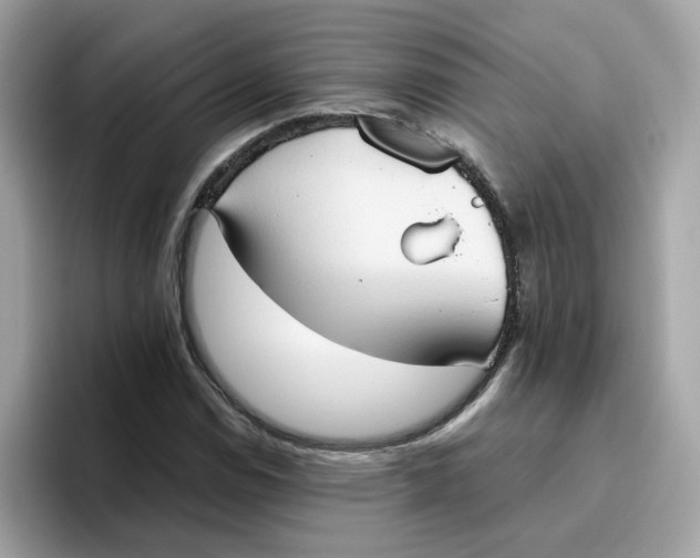 X0000096461114200802141526