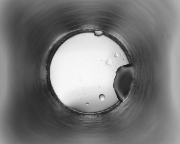 X0000096461115200802141526