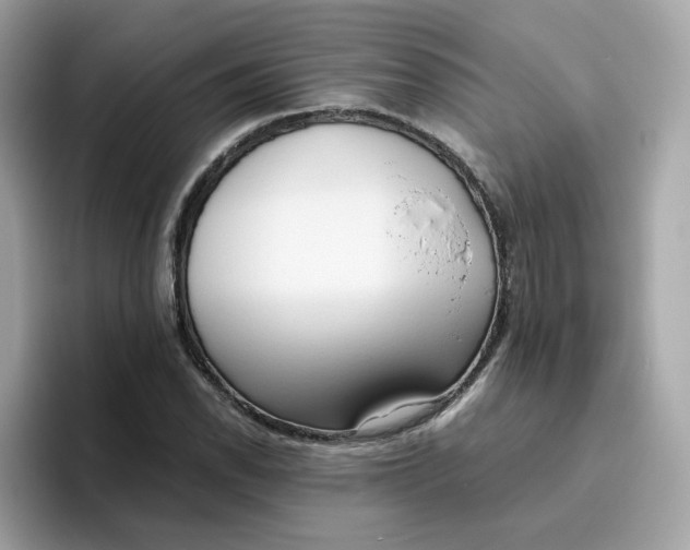X0000096461118200802141527