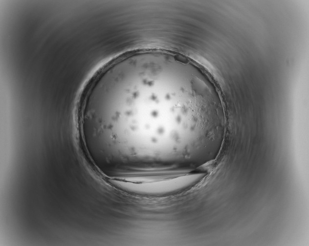 X0000096461120200802141527