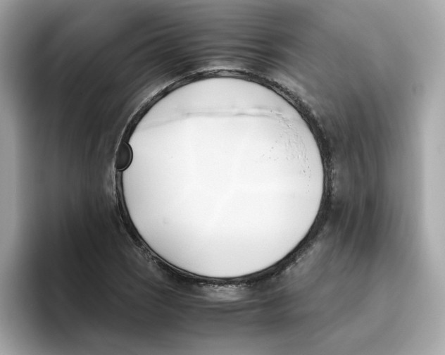 X0000096461121200802141527