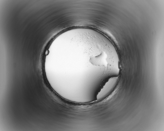 X0000096461122200802141527