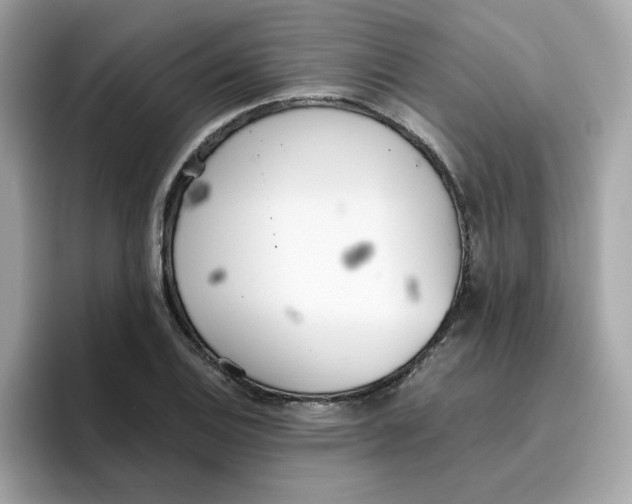 X0000096461124200802141527