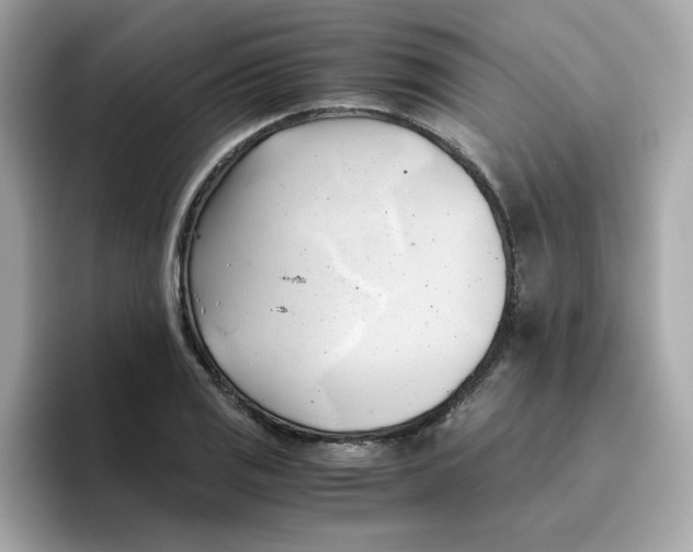 X0000096461125200802141527
