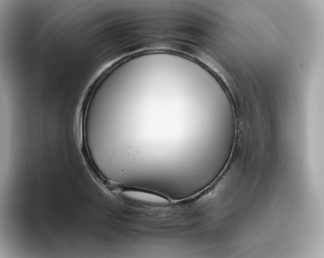 X0000096461127200802141527