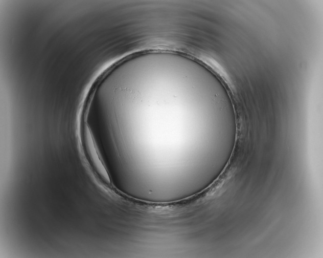 X0000096461128200802141527