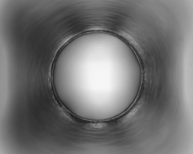 X0000096461129200802141527