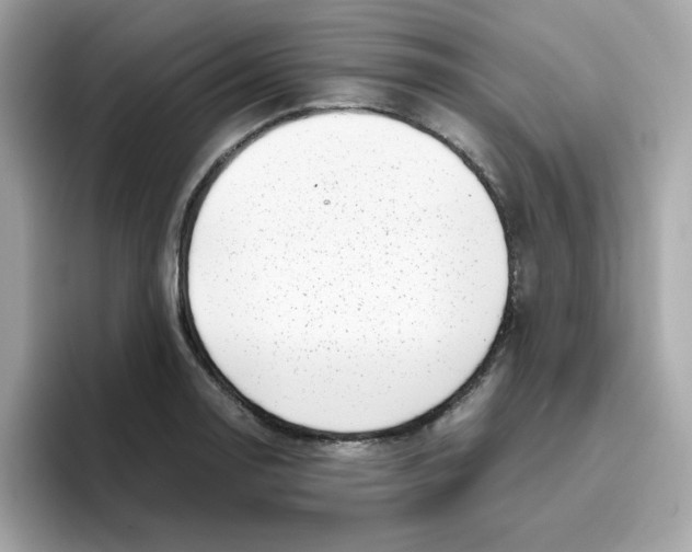 X0000096461130200802141527
