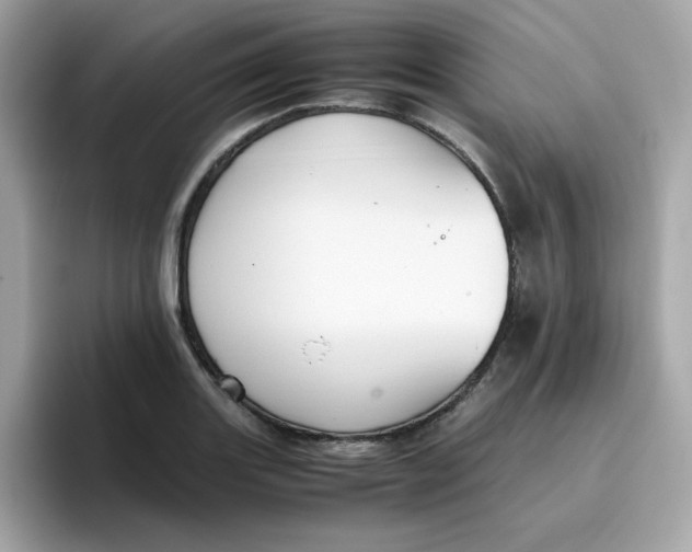 X0000096461131200802141527
