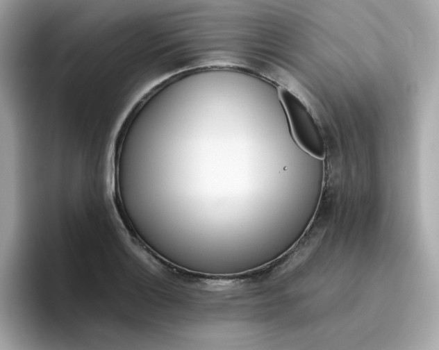 X0000096461132200802141527