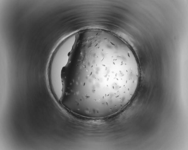 X0000096461133200802141527