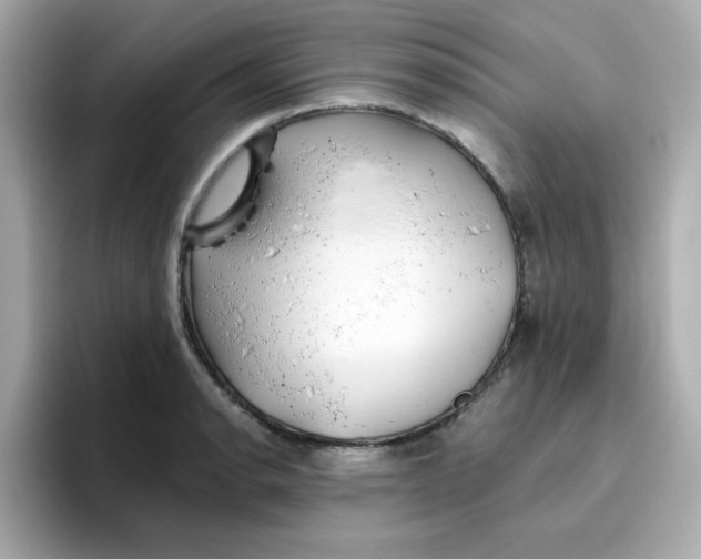 X0000096461134200802141527