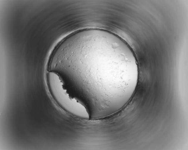 X0000096461136200802141527