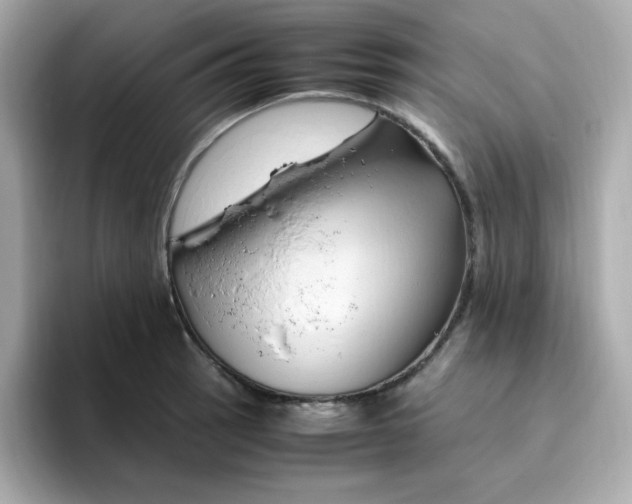 X0000096461137200802141527