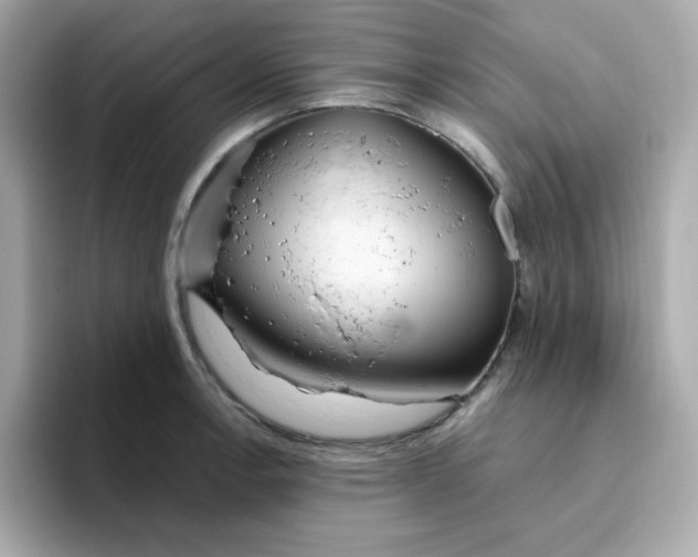 X0000096461138200802141527