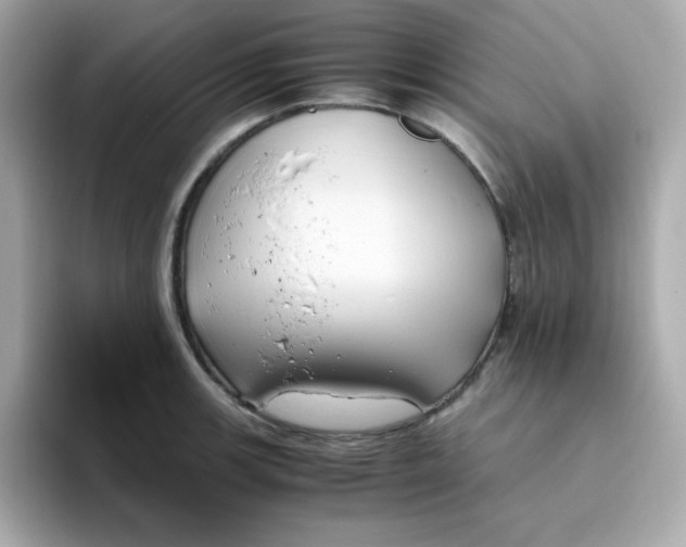 X0000096461139200802141527
