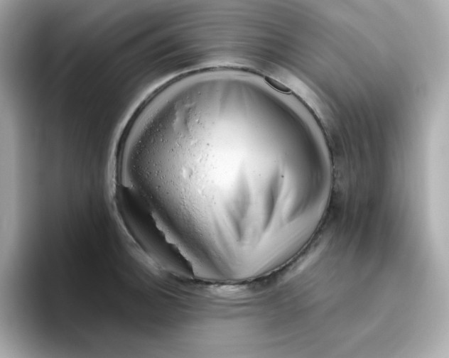 X0000096461140200802141527