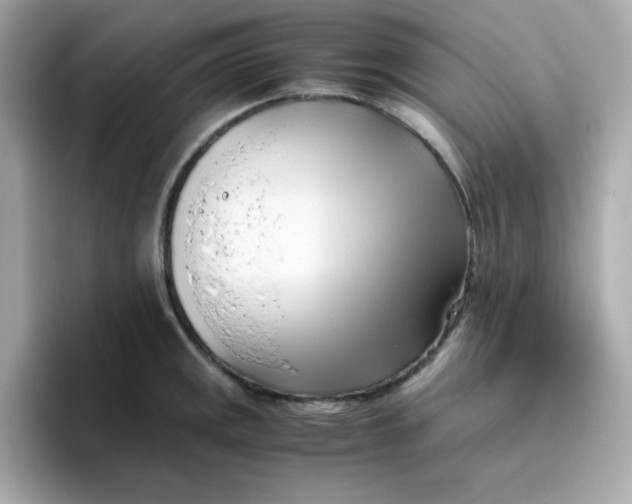 X0000096461141200802141527