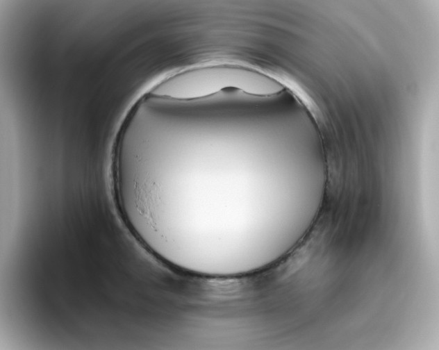X0000096461142200802141527