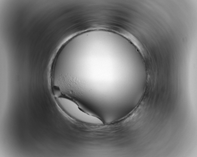 X0000096461143200802141527
